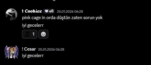 25 Ocak 2026 tarihli ilk Discord konuşmamız