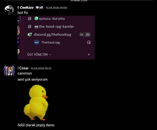 Discord üzerinden söylenen komik seni seviyorum konuşması